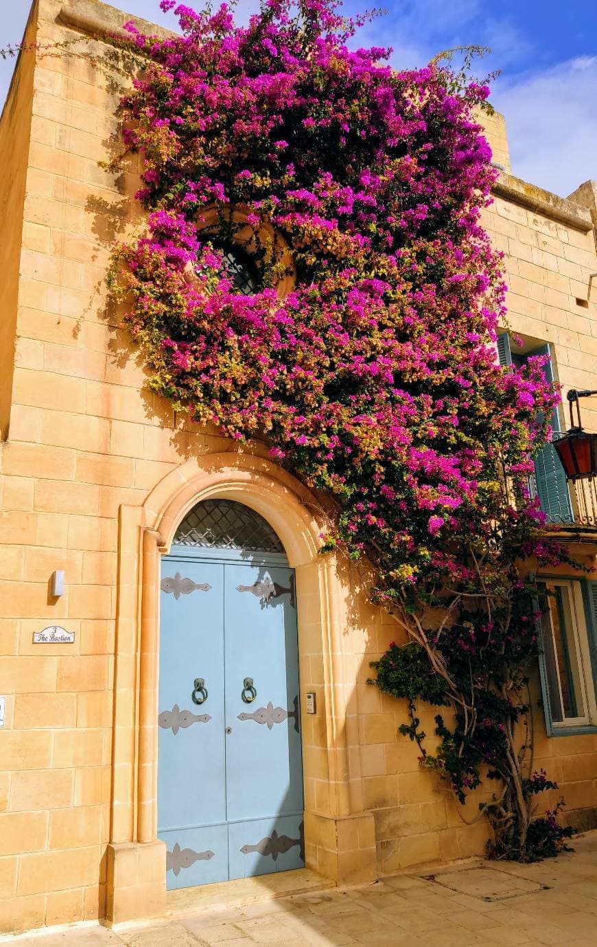 Place Mdina