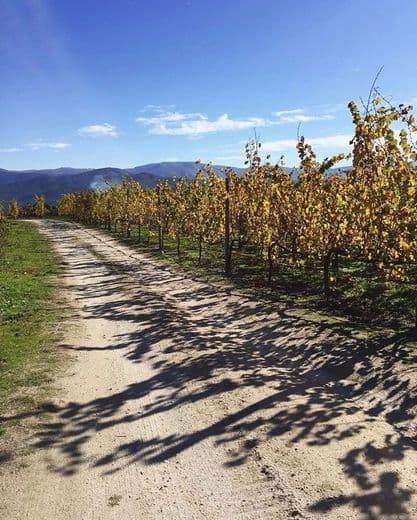 Place Quinta de Santa Cristina - Vinhos e Enoturismo