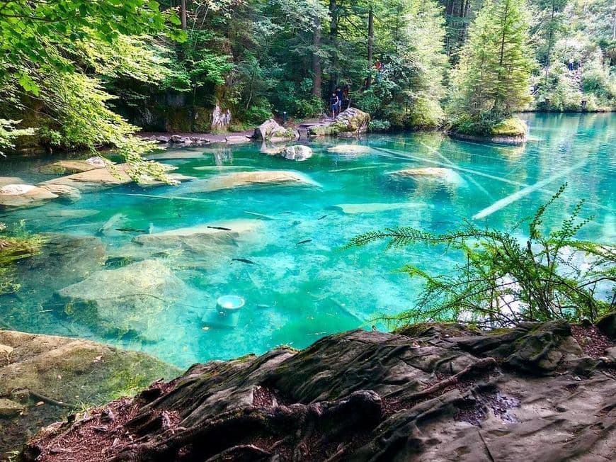 Lugar Blausee