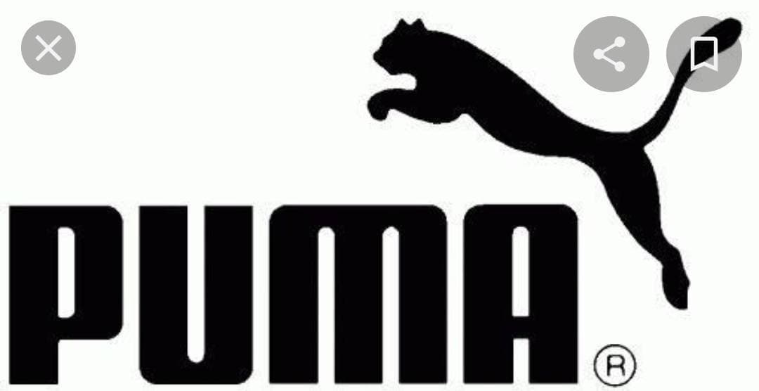 Moda Puma