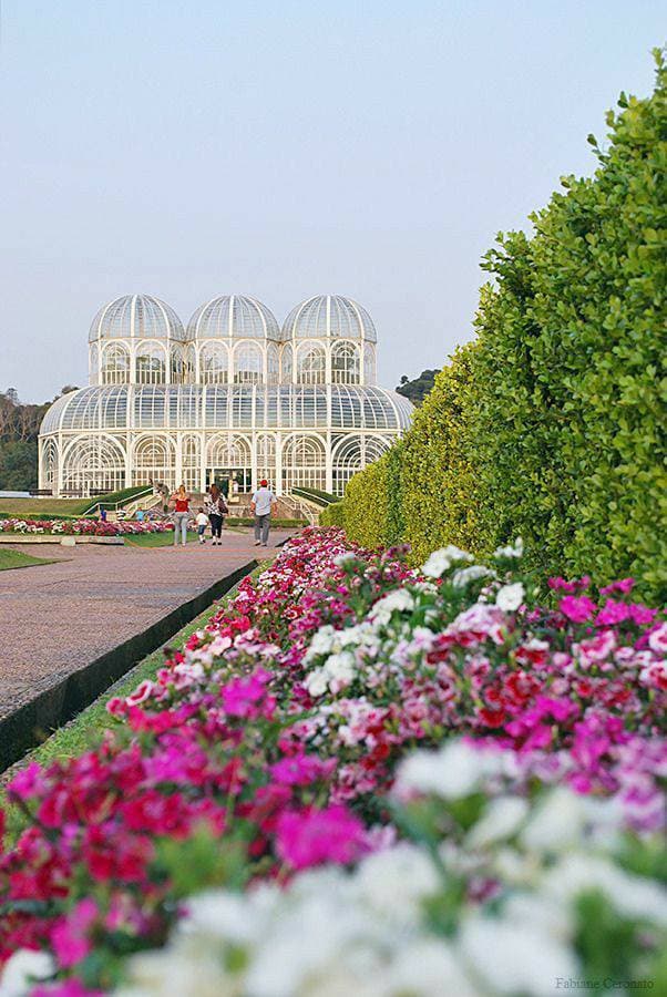 Lugar Jardim botânico 