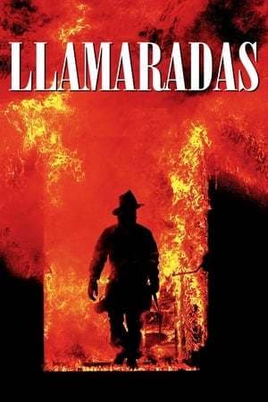 Película Backdraft