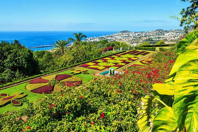 Place Jardín Botánico de Madeira