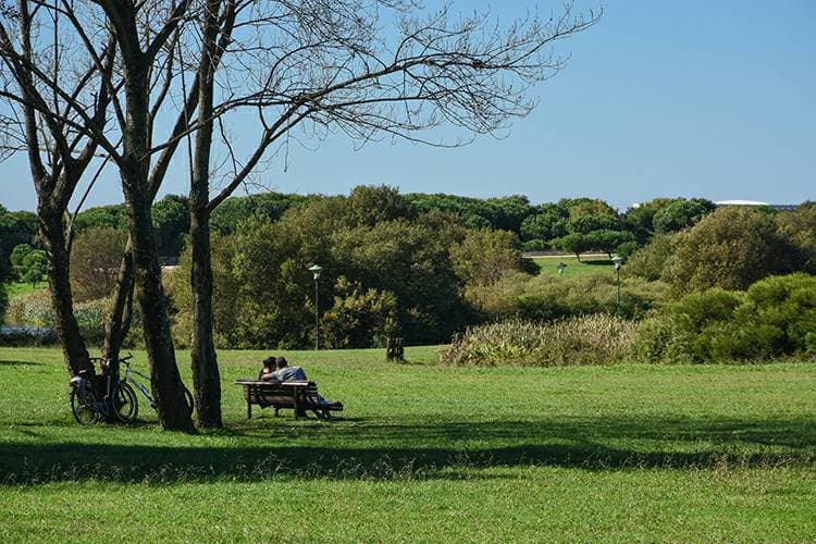 Place Parque da Cidade do Porto🌞Porto City Park #free