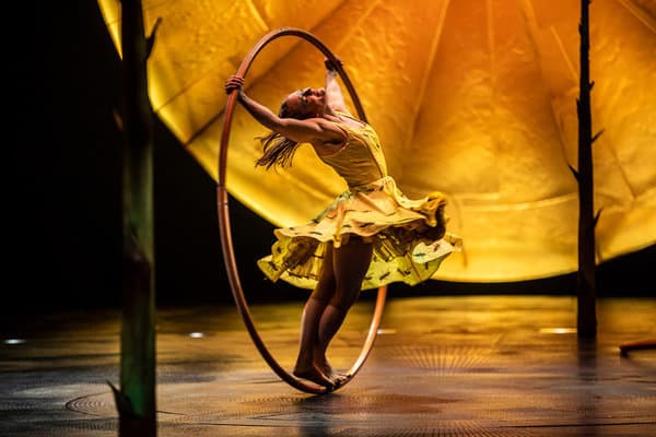 Fashion LUZIA - Cirque du Soleil