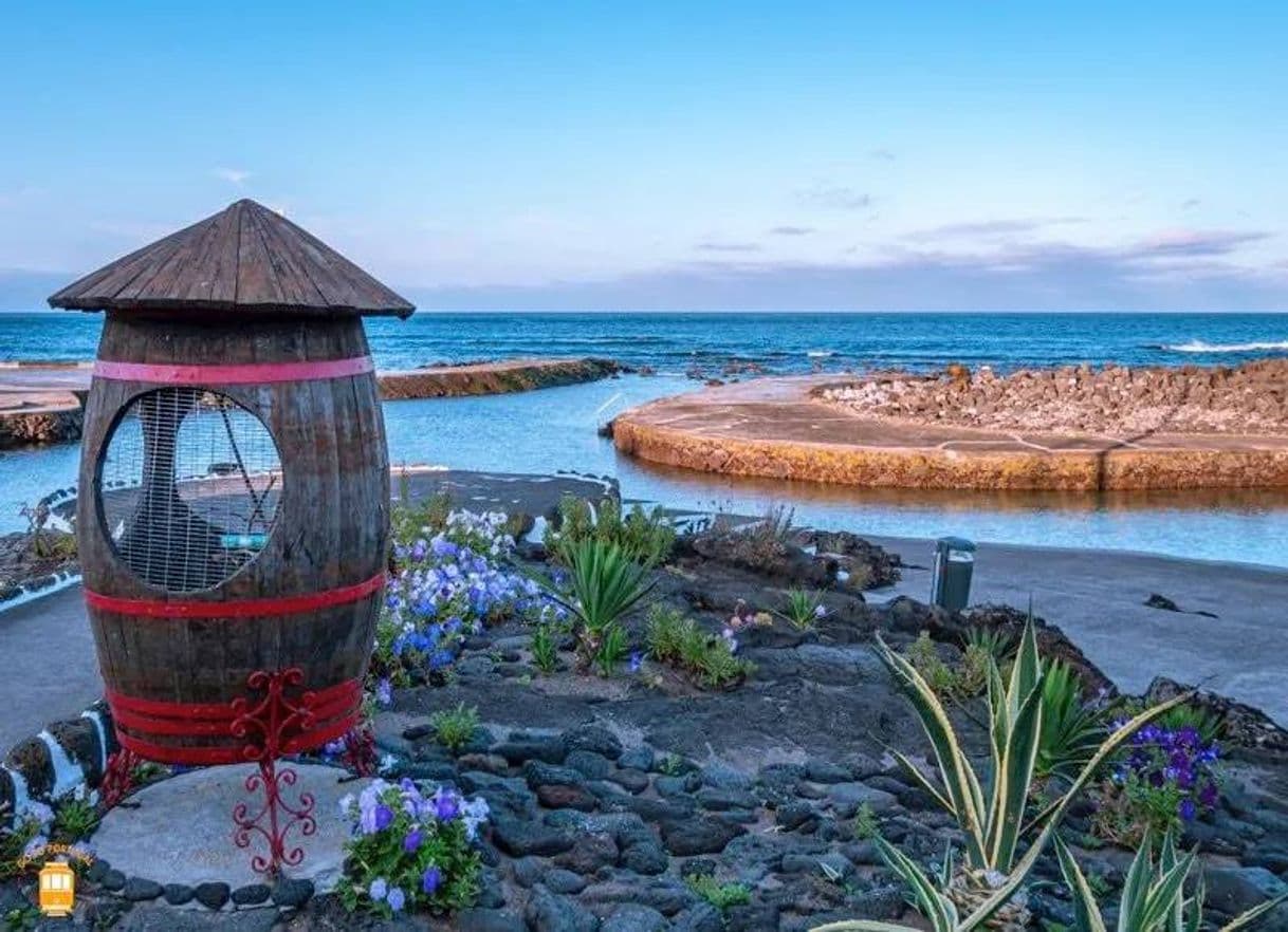 Lugar Piscinas Naturais de Porto Martins