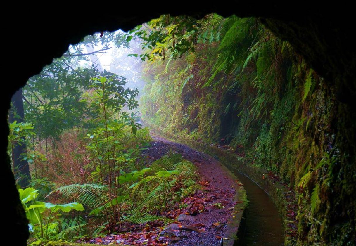 Place Levada do Caldeirão Verde