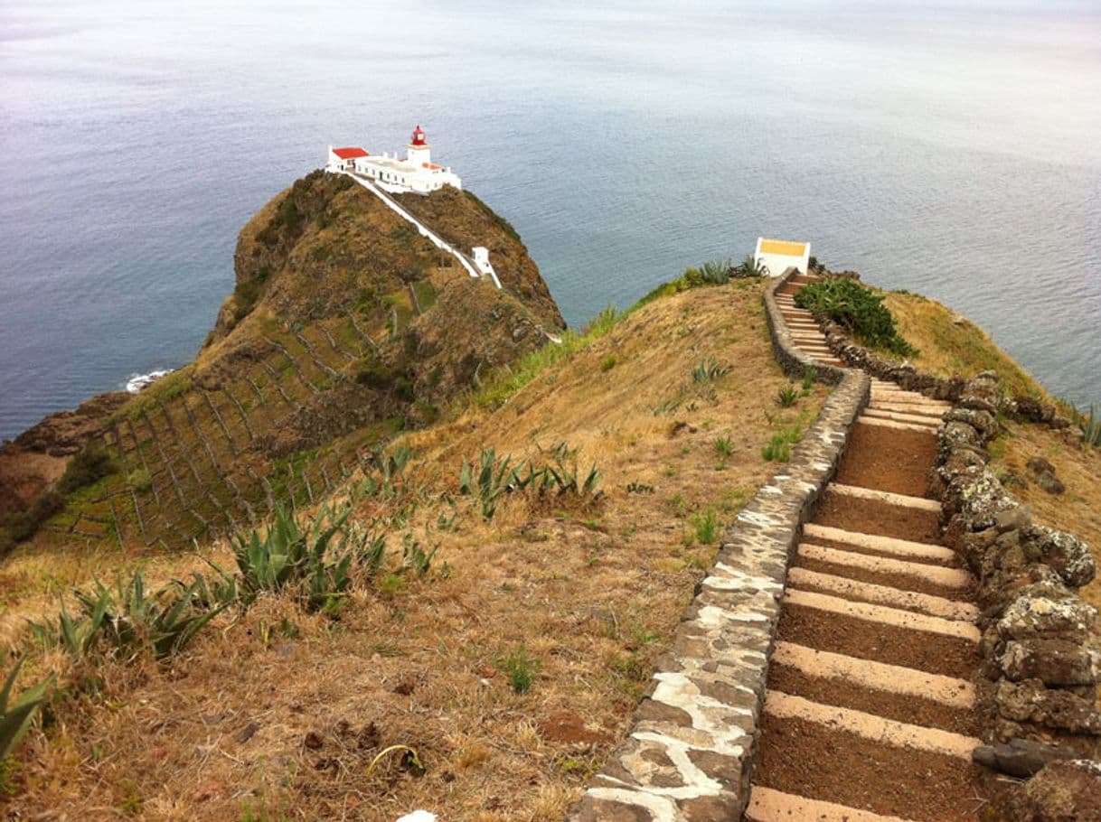 Place Farol da Maia