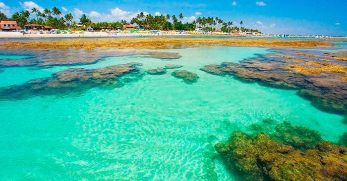 Lugar Piscinas naturais de Porto de Galinhas