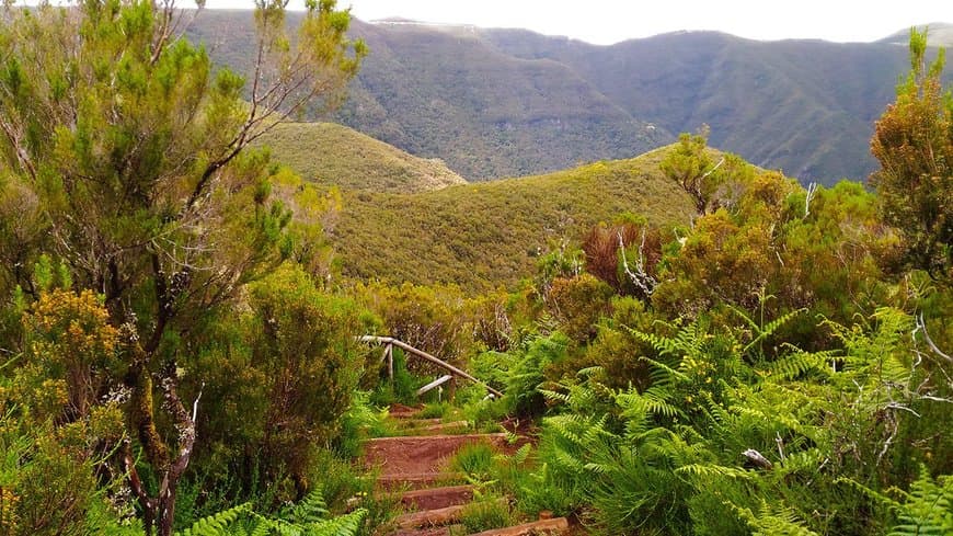 Lugar Paúl da Serra