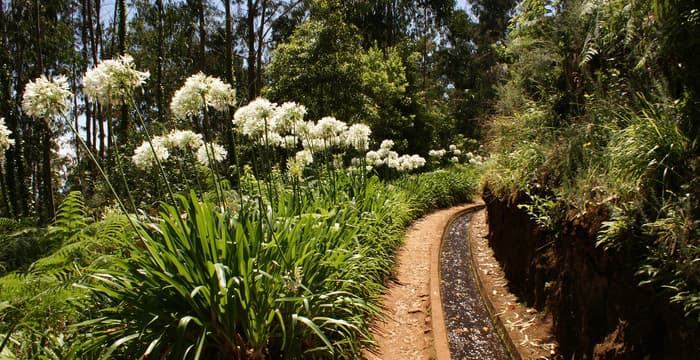 Lugar PR18 Levada Do Rei