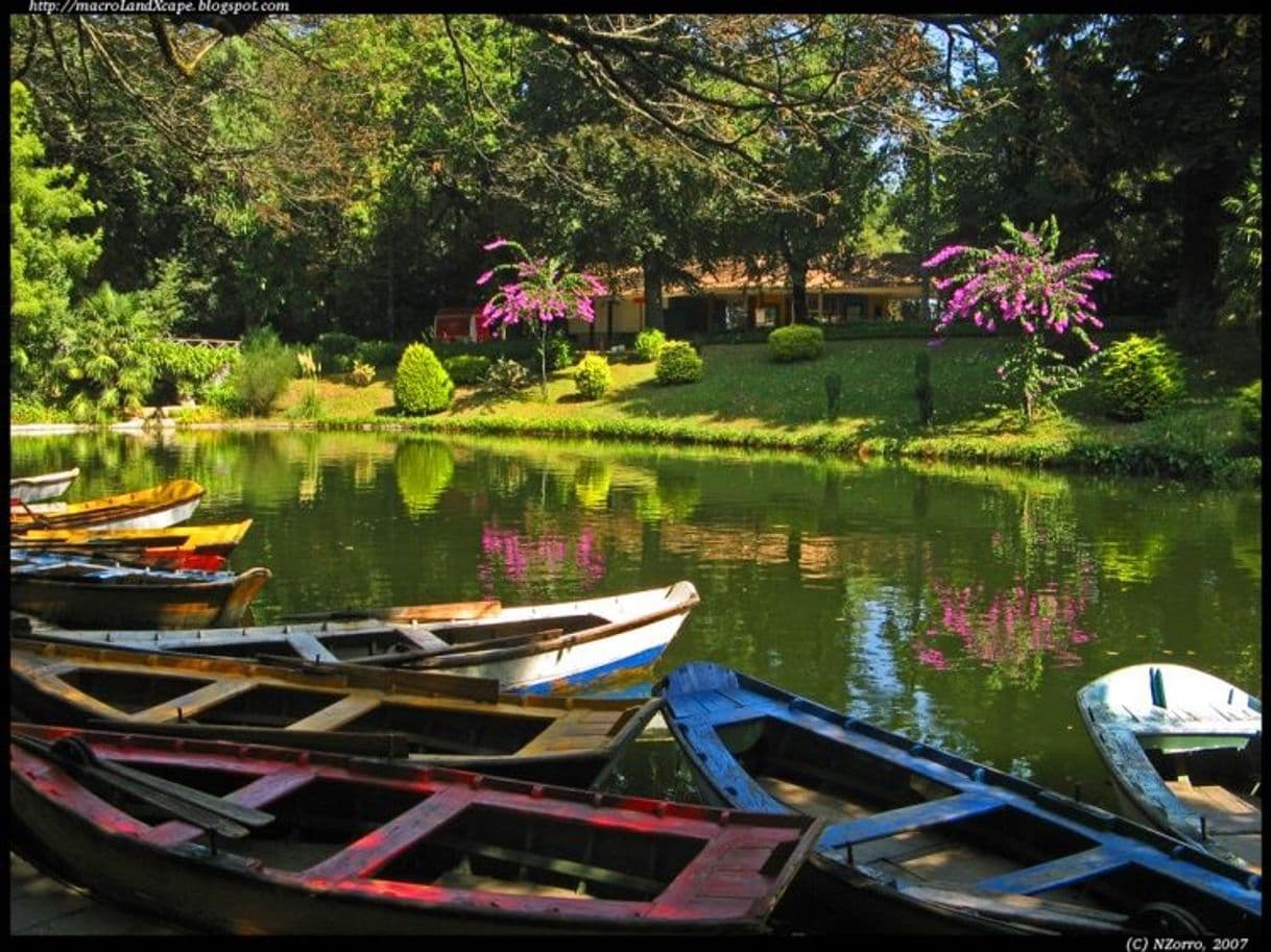 Lugar Lago do Bom Jesus