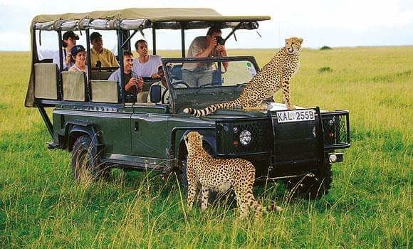 Place Africam Safari