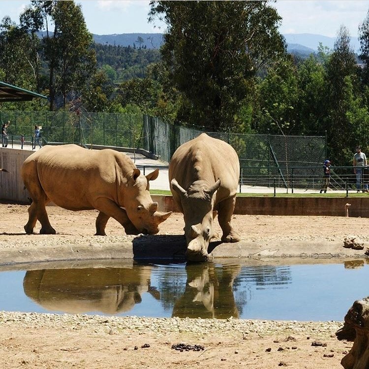 Place ZOO Santo Inácio