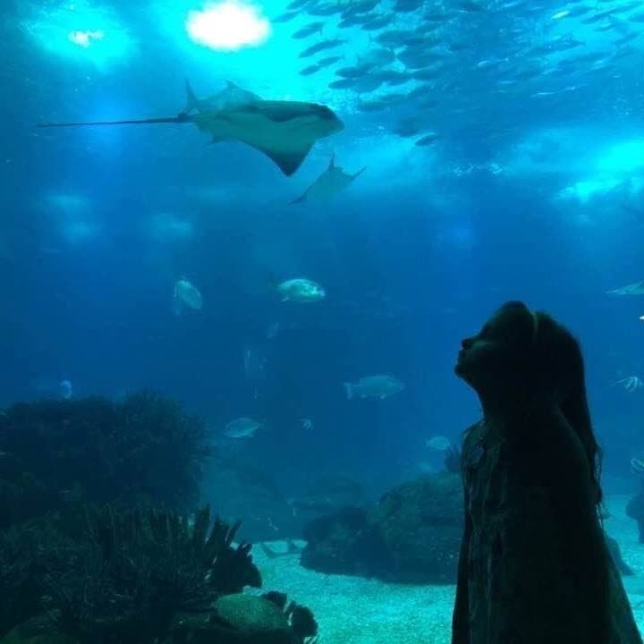 Place Oceanario de Lisboa