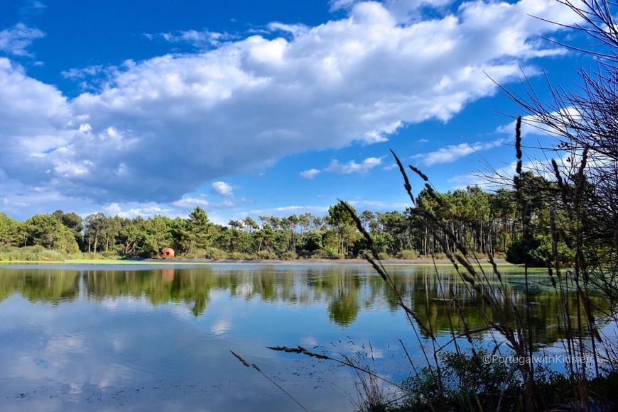 Lugar Buçaquinho Park