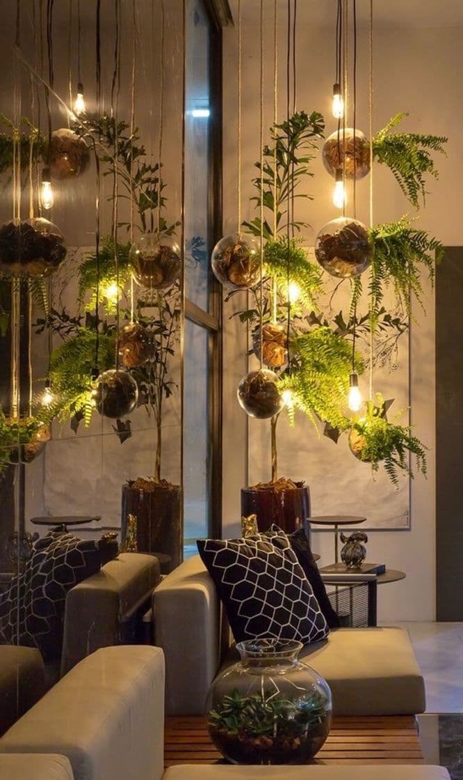 Fashion Ambiente Plantas e Luzes