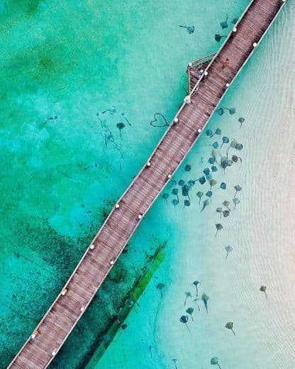 Lugar Great Barrier Reef