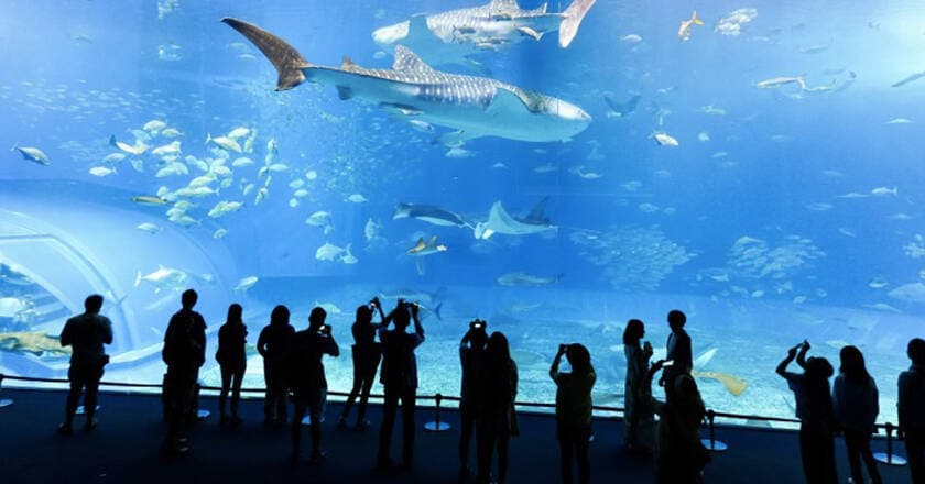 Place Aquarium de Lyon