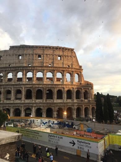 Lugar Coliseo de Roma