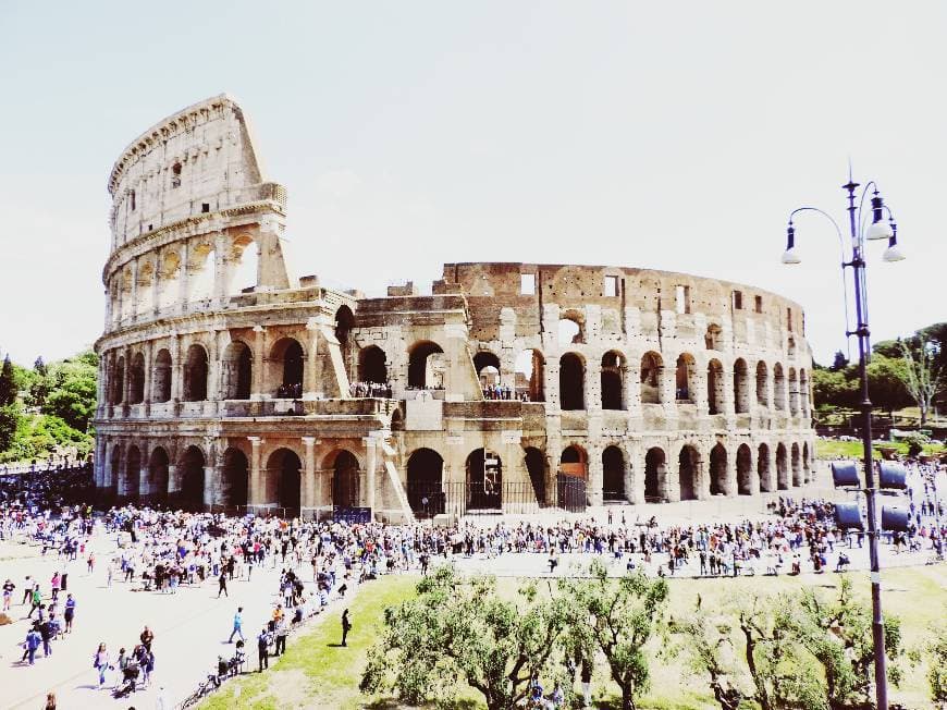 Lugar Coliseo de Roma