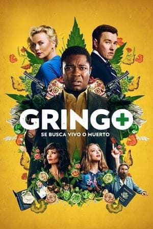 Película Gringo