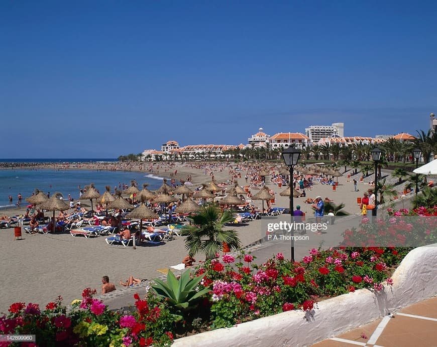 Lugar Playa de las Américas