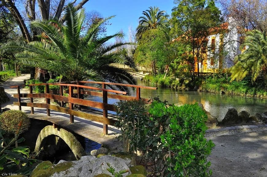 Place Parque Dom Pedro Infante - City Park