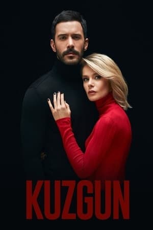 Serie Kuzgun