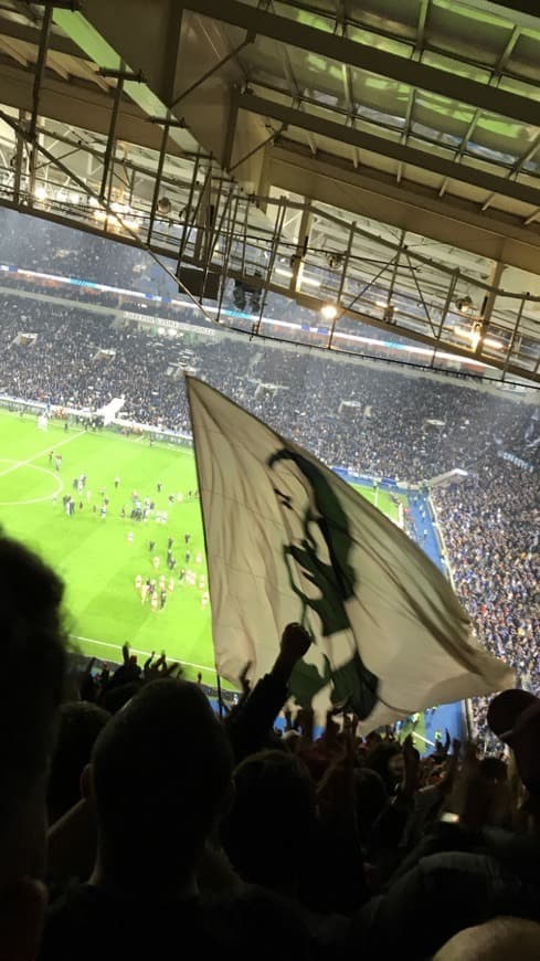 Lugar Estádio do Dragão