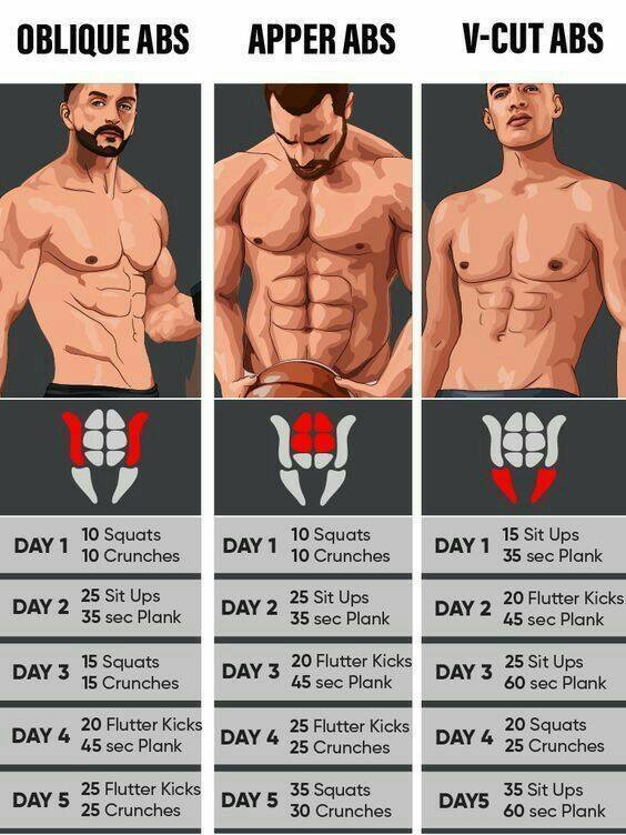 Moda ABS workout