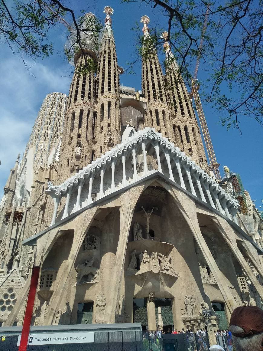 Lugar Basílica Sagrada Familia