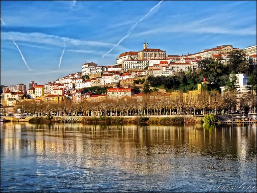 Lugar Rio Mondego