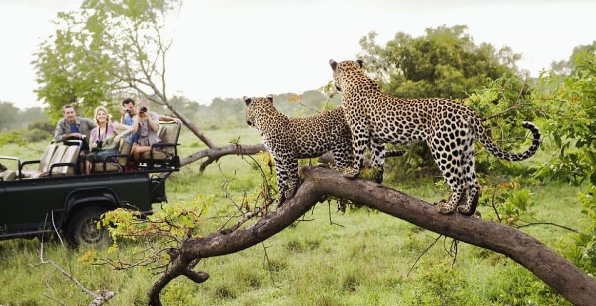 Lugar Parque nacional Kruger