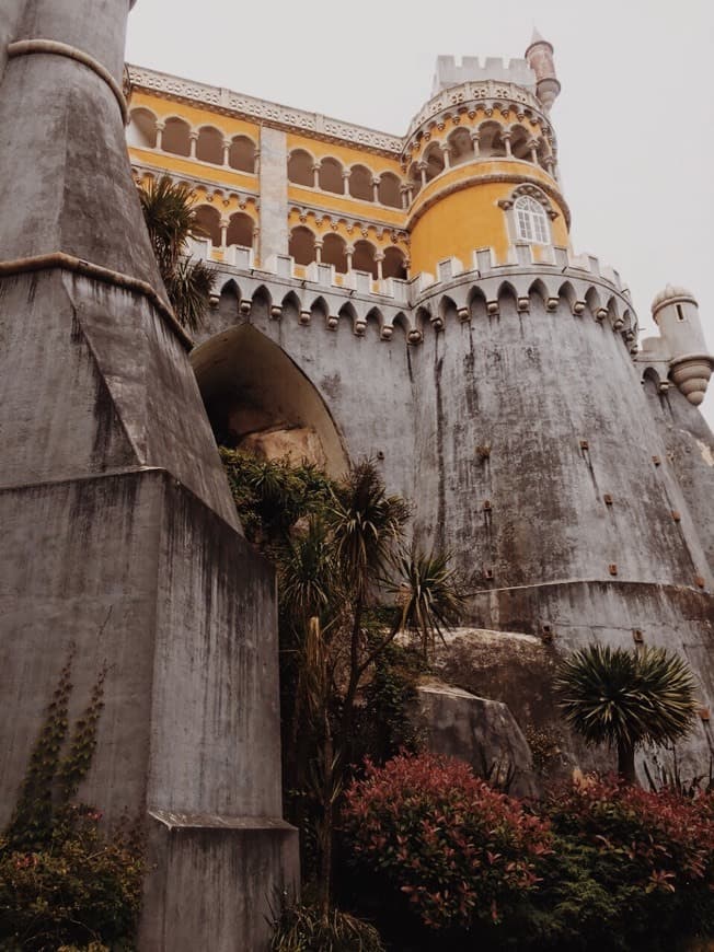 Lugar Palacio da Pena