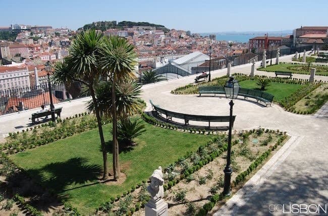 Lugar Jardín de São Pedro de Alcântara