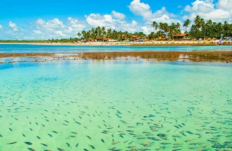 Moda Porto de galinhas, Pernambuco