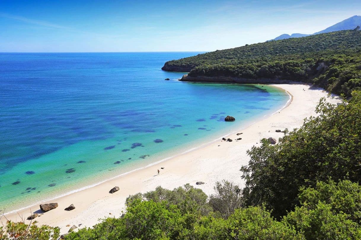 Lugar Praia da Figueirinha