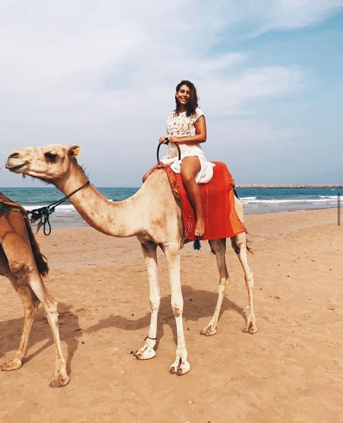 Moda Passeio de Dromedário 🐪 