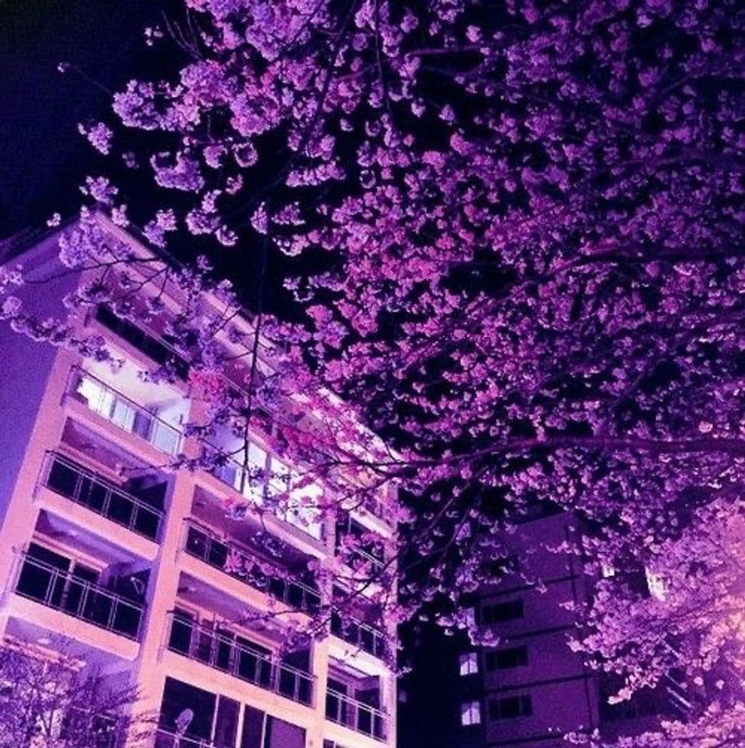 Moda purple tree 💜