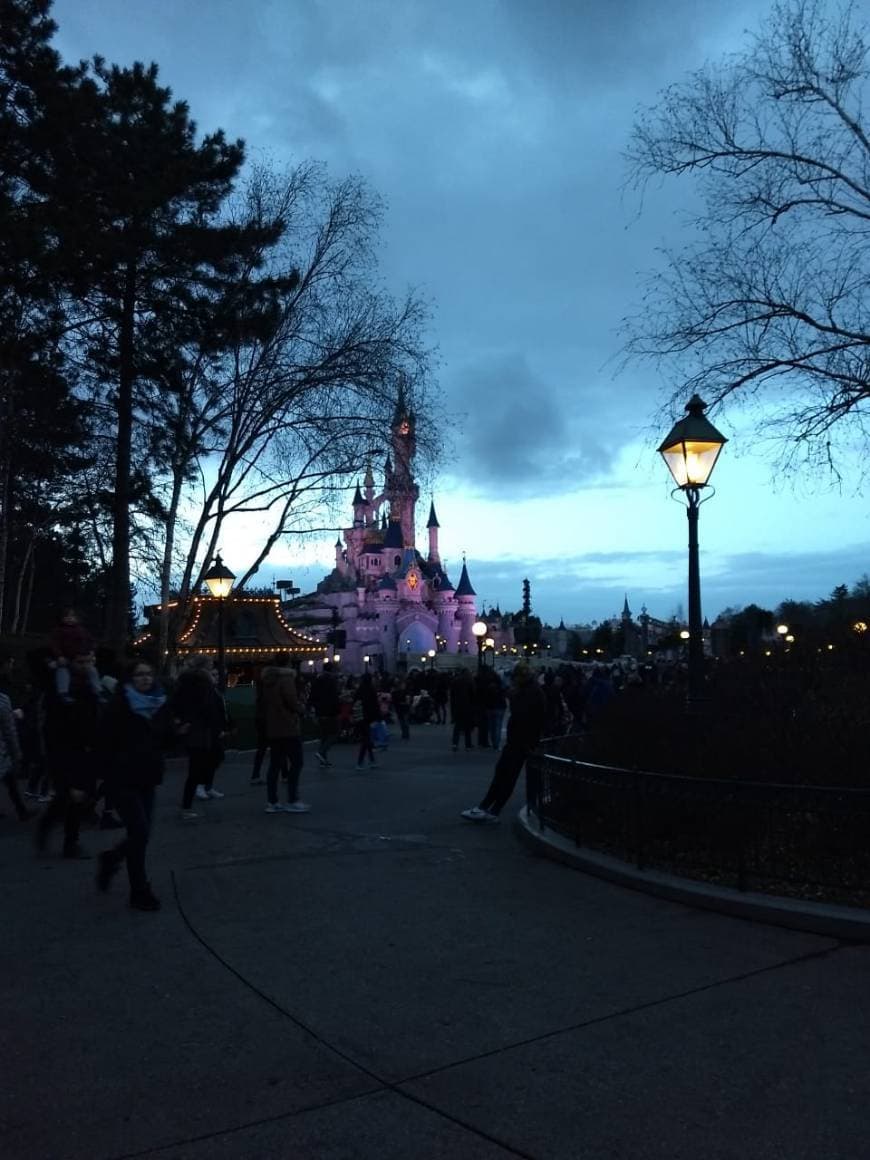 Place Disneyland Park