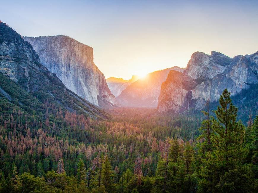 Place Yosemite