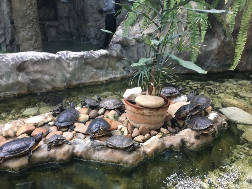 Lugar Jardim Zoológico de Lisboa