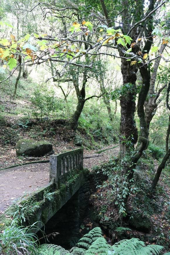 Lugar Levada dos Balcões