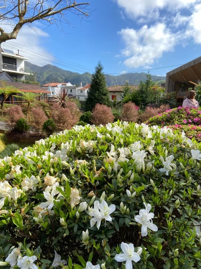 Place Poça da Dona Beija