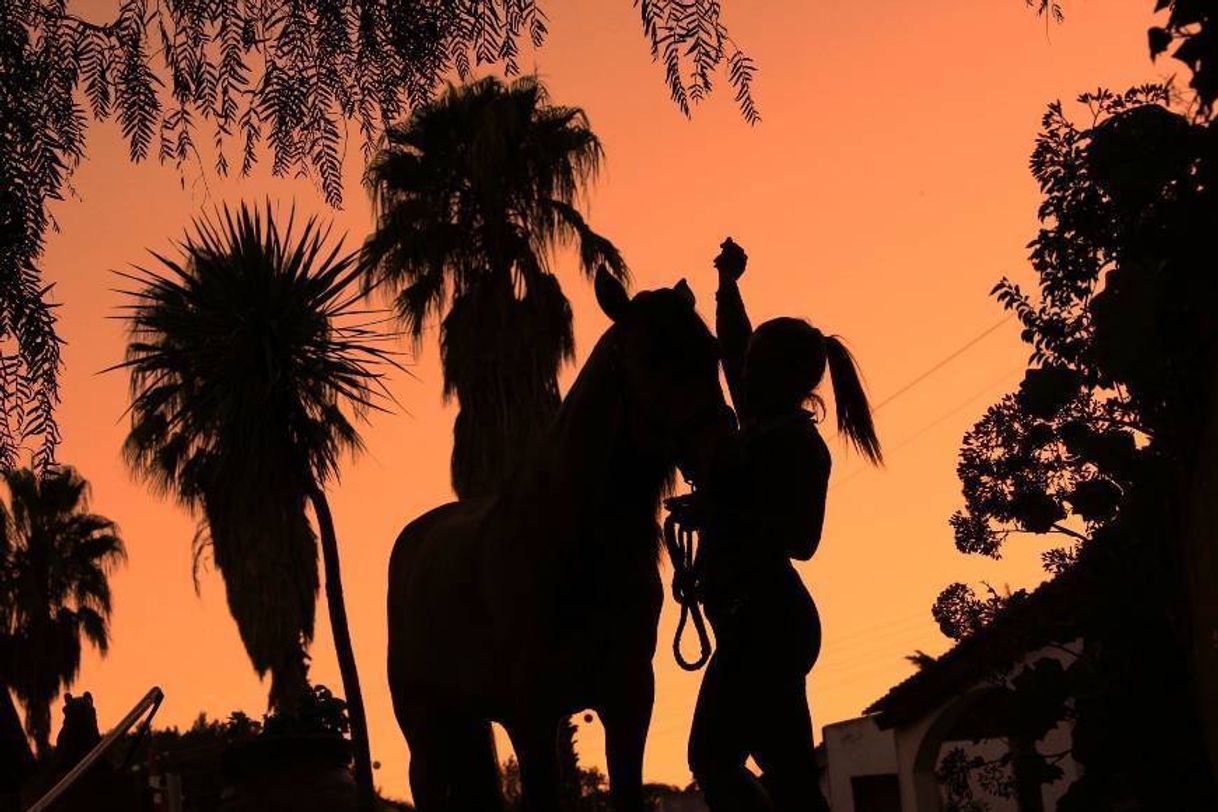 Place Centro Equestre da Lezíria Grande