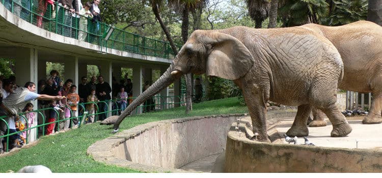 Lugar Zoo Barcelona