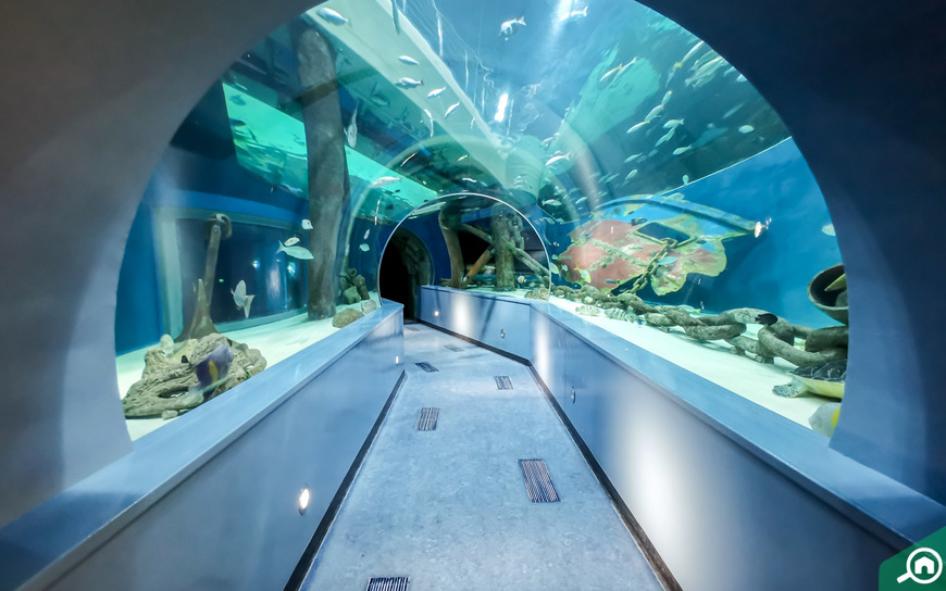 Lugar Sharjah Aquarium