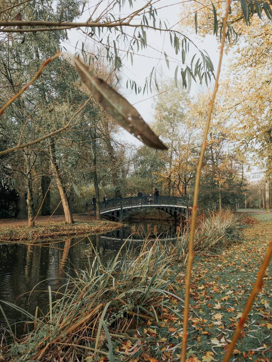 Place Hortus Botanicus Amsterdam