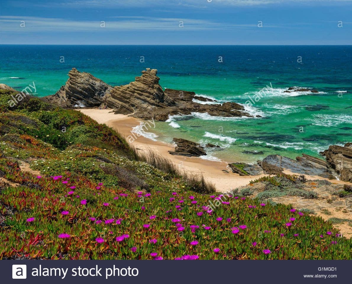 Place Parque Natural del Suroeste Alentejano y Costa Vicentina